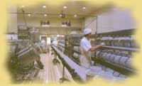 Заводы-производители сыра